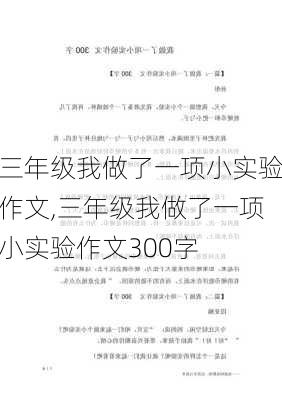 三年级我做了一项小实验作文,三年级我做了一项小实验作文300字