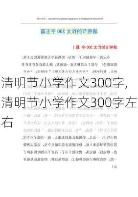 清明节小学作文300字,清明节小学作文300字左右