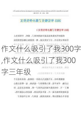 作文什么吸引了我300字,作文什么吸引了我300字三年级