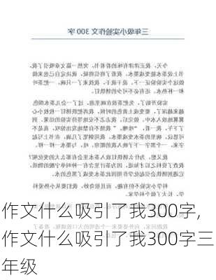 作文什么吸引了我300字,作文什么吸引了我300字三年级