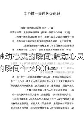 触动心灵的瞬间,触动心灵的瞬间作文800字