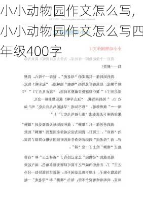 小小动物园作文怎么写,小小动物园作文怎么写四年级400字