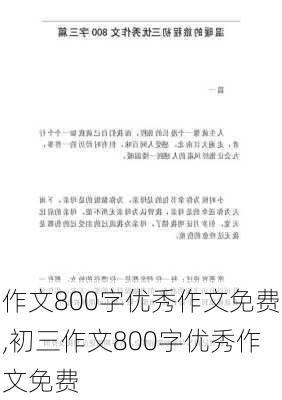 作文800字优秀作文免费,初三作文800字优秀作文免费