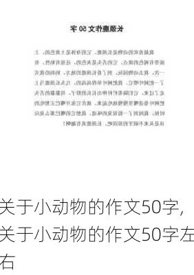 关于小动物的作文50字,关于小动物的作文50字左右