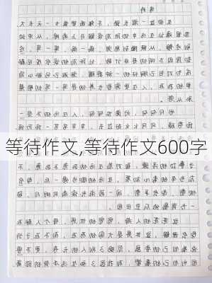 等待作文,等待作文600字