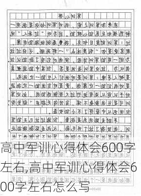 高中军训心得体会600字左右,高中军训心得体会600字左右怎么写