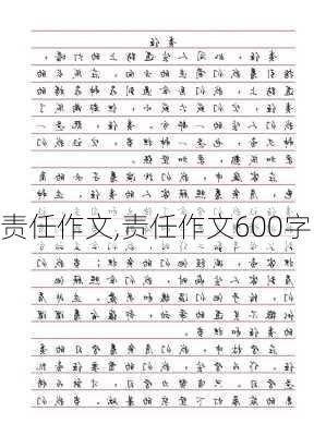 责任作文,责任作文600字