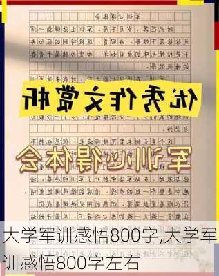 大学军训感悟800字,大学军训感悟800字左右