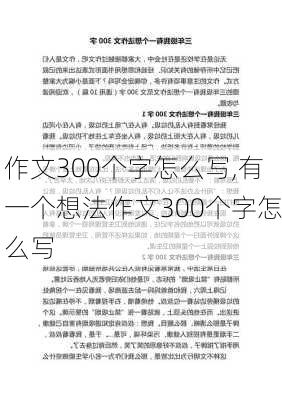 作文300个字怎么写,有一个想法作文300个字怎么写