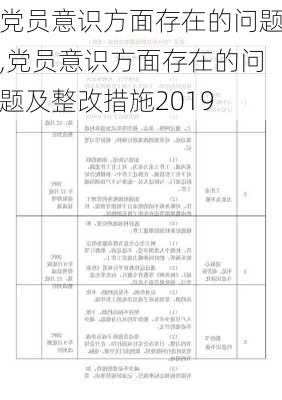 党员意识方面存在的问题,党员意识方面存在的问题及整改措施2019