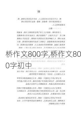 桥作文800字,桥作文800字初中