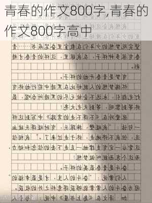 青春的作文800字,青春的作文800字高中