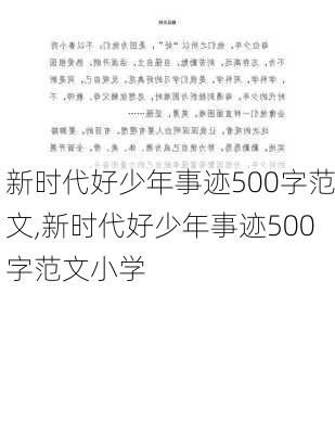 新时代好少年事迹500字范文,新时代好少年事迹500字范文小学